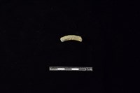 藏品(陶環)的圖片